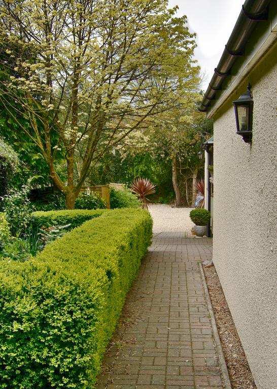 Tumbling Weir Hotel Ottery St Mary Exterior photo
